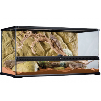 copy of Glass Terrarium Nano, terrario in vetro per... 2