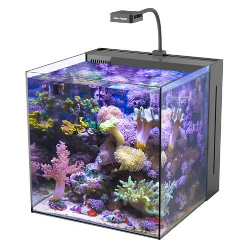 Yasha 60 Nano Reeftank, aquarium marin -...