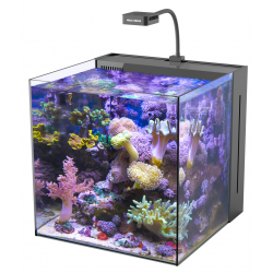 Yasha 60 Nano Reeftank, aquarium marin - Aquarium Aquarium