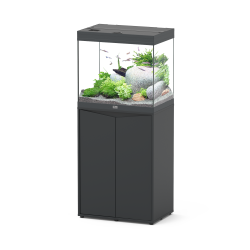 copy of Splendid Aquatlantis