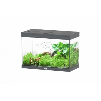 copy of Splendid Aquatlantis 2