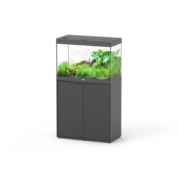 copy of Splendid Aquatlantis 2