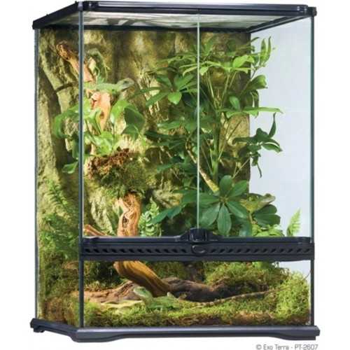 Glass Terrarium Tall, glass terrarium for...