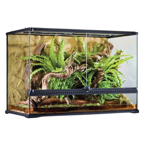 Glass Terrarium Tall, terrario in vetro per...