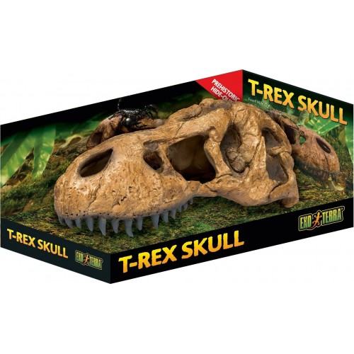 Crâne T-Rex, cachette pour les reptiles et les...