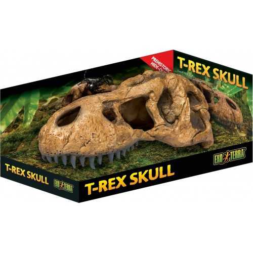 T-Rex skull, hideout for reptiles and...