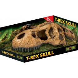 T-Rex skull, hideout for reptiles and amphibians - EXO land