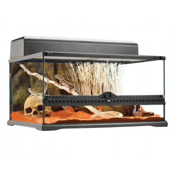 Glass Terrarium Low, terrario in vetro per rettili - Exo... 2