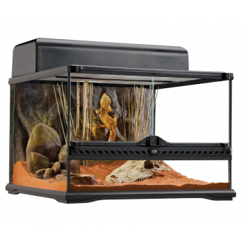 Terrarium en verre Basse, Terrarium en verre pour...