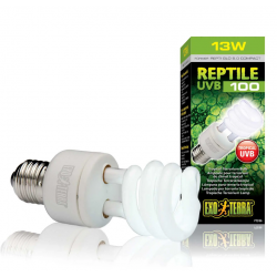 Lampe à ampoule fluorescente compacte de Repti Glo 5.0 pour terrarium tropical - Terre exo
