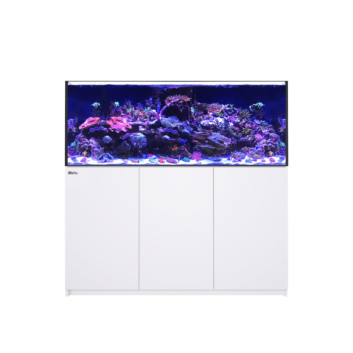 Red Sea Reefer G2+ XXL 625 (150x65x60h cm) - acquario marino completo di sump , supporto e sistema di rabbocco