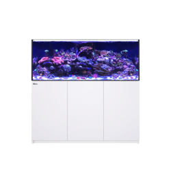 Red Sea REEFER G2 + XXL 625 (150x65x60h cm) - SUMP seam aquarium, support and top up system