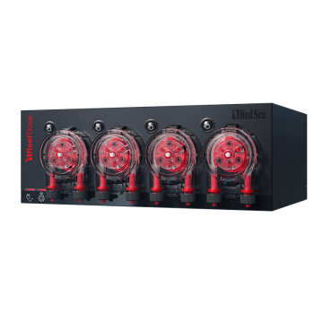 Red Sea Dose de récif à 4 canaux - Pompe dosométrique...