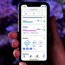 Red Sea REEF MAT 250 - Filtre de puisard automatique