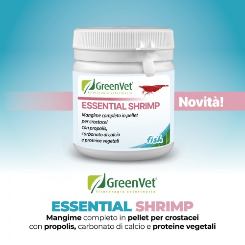 Crevettes essentielles, alimentation en...