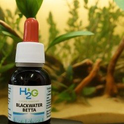 Greenvet Blackwater Betta - H2G