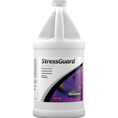 StressGuard, scarring and protective for mucosa - Seachem