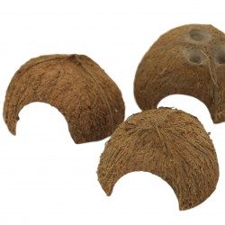 Noce di cocco tana per pesci | METÁ NOCE DI COCCO - Ceramic Nature