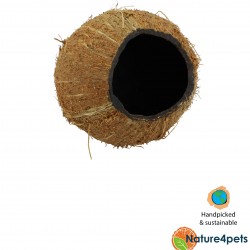 Coconut Tana for fish | Three quarter coconut - Ceramic Nature