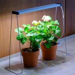 copy of Hanging twinstar kit