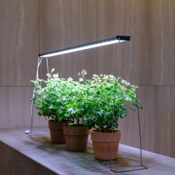 Raised steel brackets for ceiling lights Twinstar A and B (cultivation emerged with phytostimulant light) - Support Twinstar