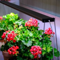 Supports en acier surélevé pour plafonniers Twinstar A et B (cultivation émergèrent de la lumière phytostimulante) - soutien Twi