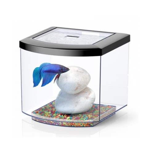 Bettacub 8 liters 20cm in glass - Aquatlantis