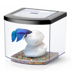 Bettacub 8 liters 20cm in glass - Aquatlantis