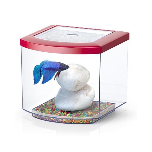 BETTACUB Aquatlantis