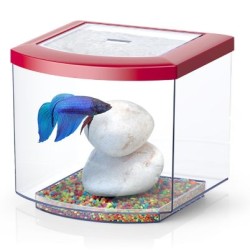 BETTACUB Aquatlantis