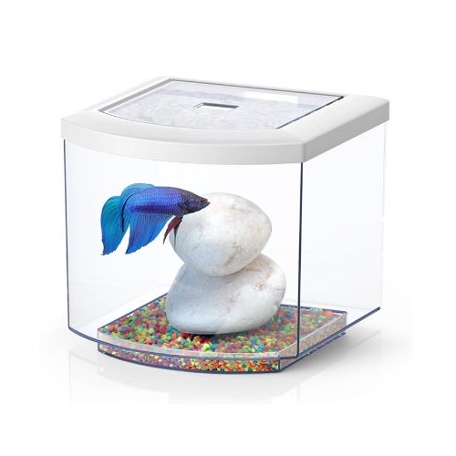 Bettacub 8 litres 20cm en verre - Aquatlantis