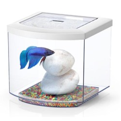 Bettacub 8 liters 20cm in glass - Aquatlantis