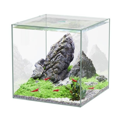 Kubus 5 liters 18 cm - Aquatlantis