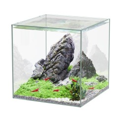 Kubus 5 liters 18 cm - Aquatlantis