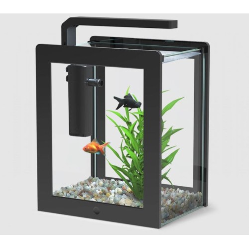 Aquaframe 14 liters 27x20x38 cm in glass -...