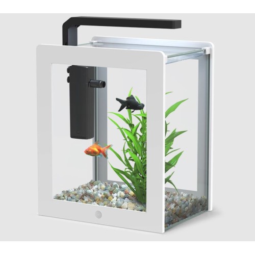 AquaFrame 14 litres 27x20x38 cm en verre -...