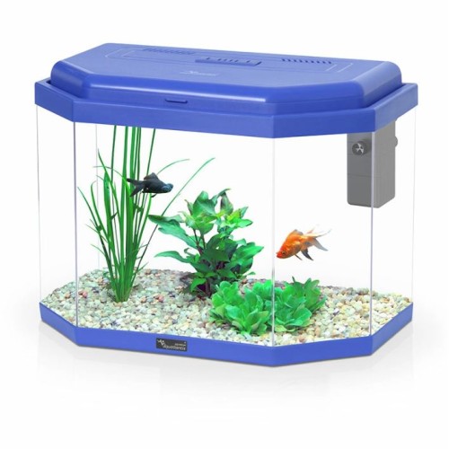 copy of AMTRA SYSTEM TANK V2 60 LED Black