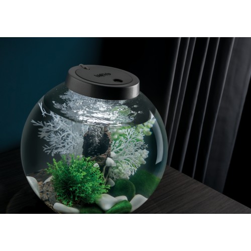 Fée de la fée de décoration de Biorb - Oase