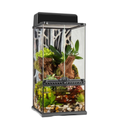 Glass Paludarium, advanced stand and terrarium for rainproof environments - EXO land
