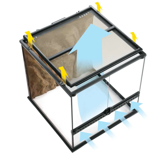 Glass Paludarium, paludario avanzato e terrario...