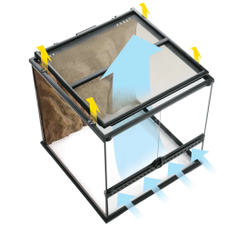 Paludarium en verre, stand avancé et terrarium pour environnements pluviaux - Terre exo