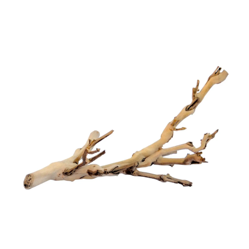 Forest Branch, legno della foresta per terrario - Exo Terra