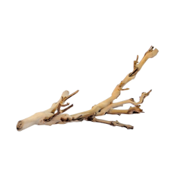 Forest Branch, forest wood for terrarium - EXO land