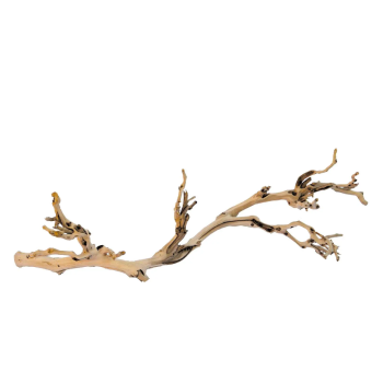 Forest Branch, legno della foresta per terrario - Exo Terra 2