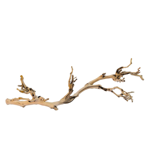 Forest Branch, legno della foresta per terrario...