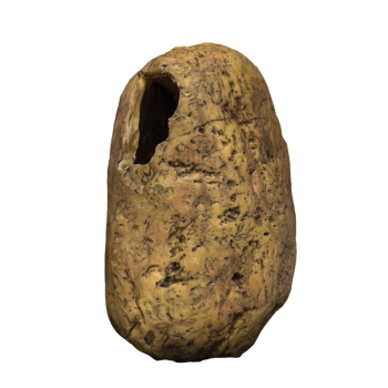 Grotte de canopée, grotte de nichoir arboricole pour...