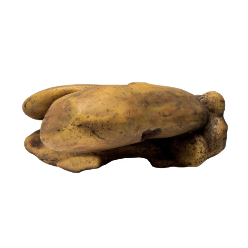 Elevated Outcrop Medium, piattaforma Rialzata per rettili - Exo Terra