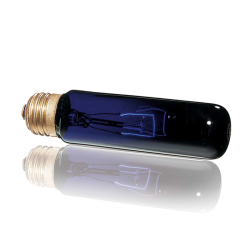Night Glo, Heating Night Lamp for Terrariums - EXO Terra