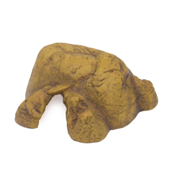 Reptile Cave, grotta per rettili - Exo Terra 2