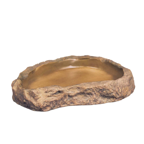 Feeding Dish, Bowl for nutrition - EXO Earth